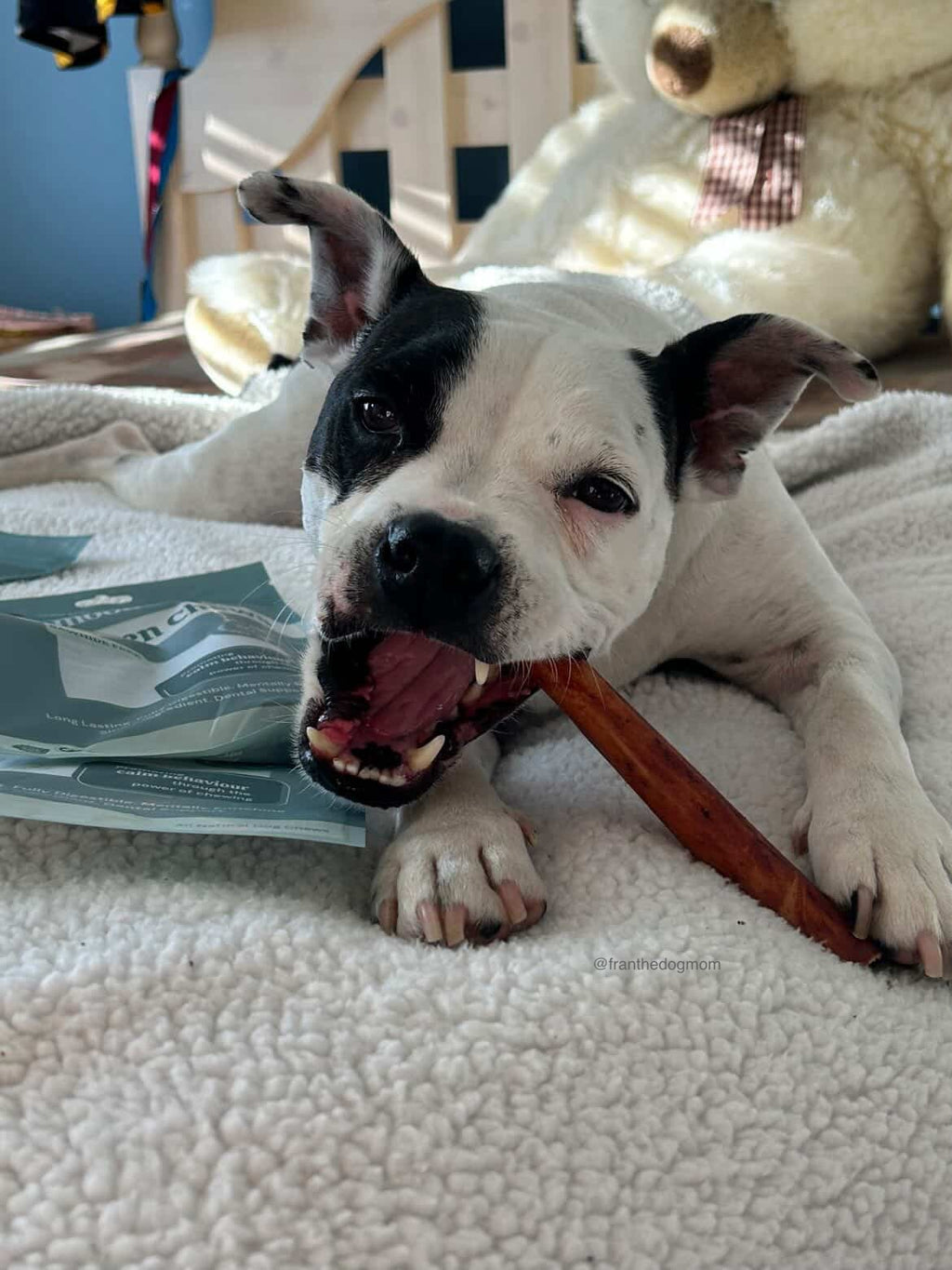 6" Liver-Infused Collagen Chew