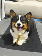 6" Collagen Chew