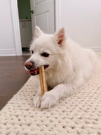 6" Collagen Chew