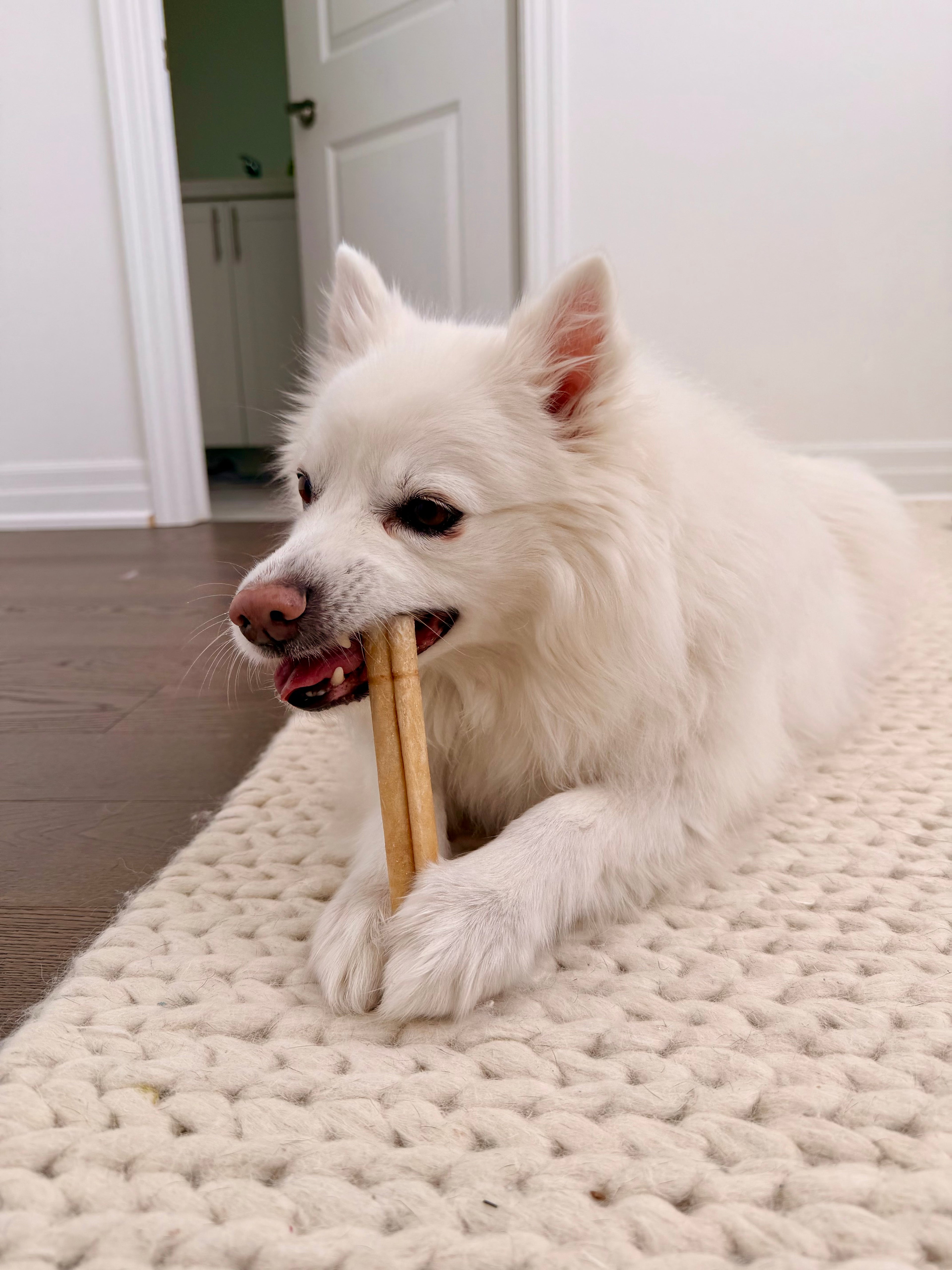 6" Collagen Chew