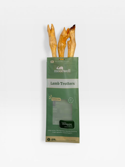 Lamb Trotter