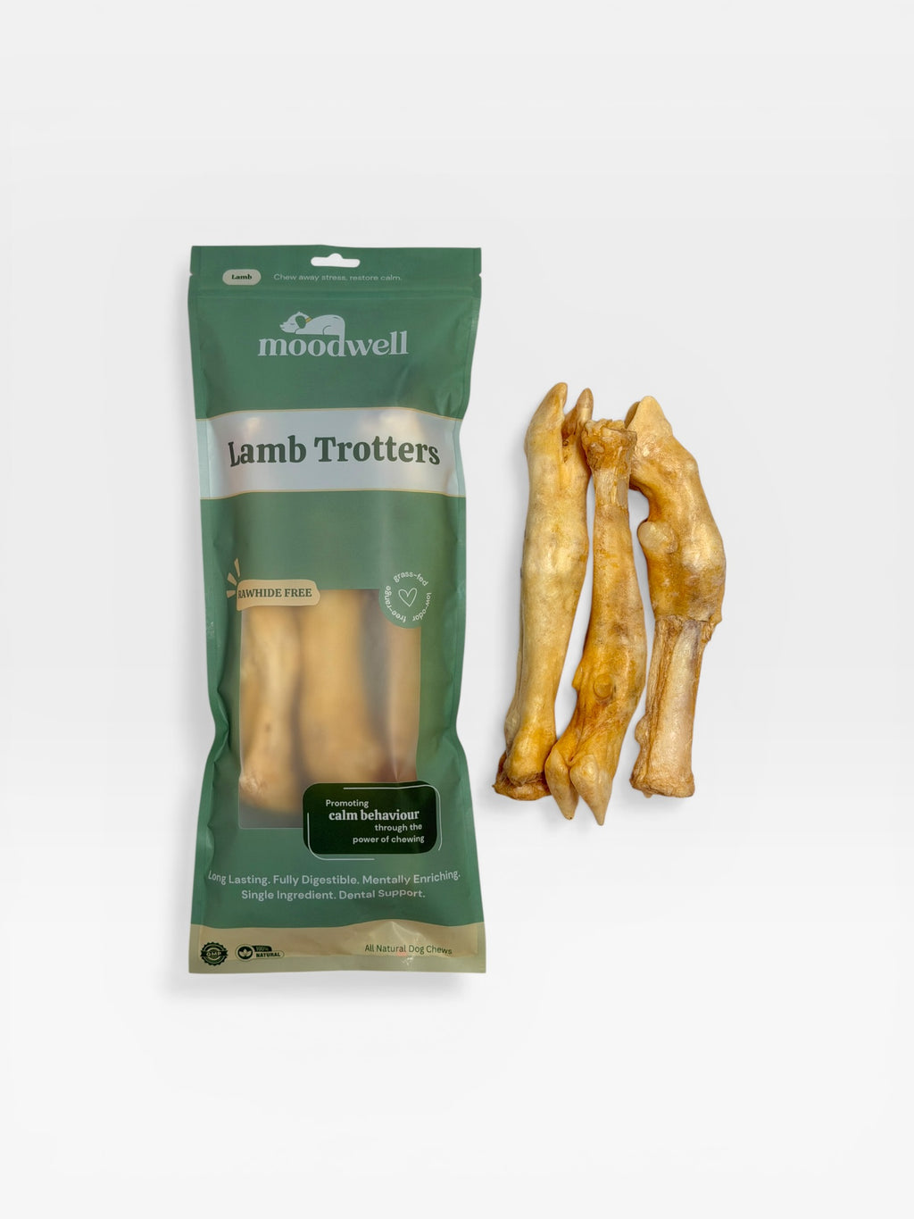 Lamb Trotter