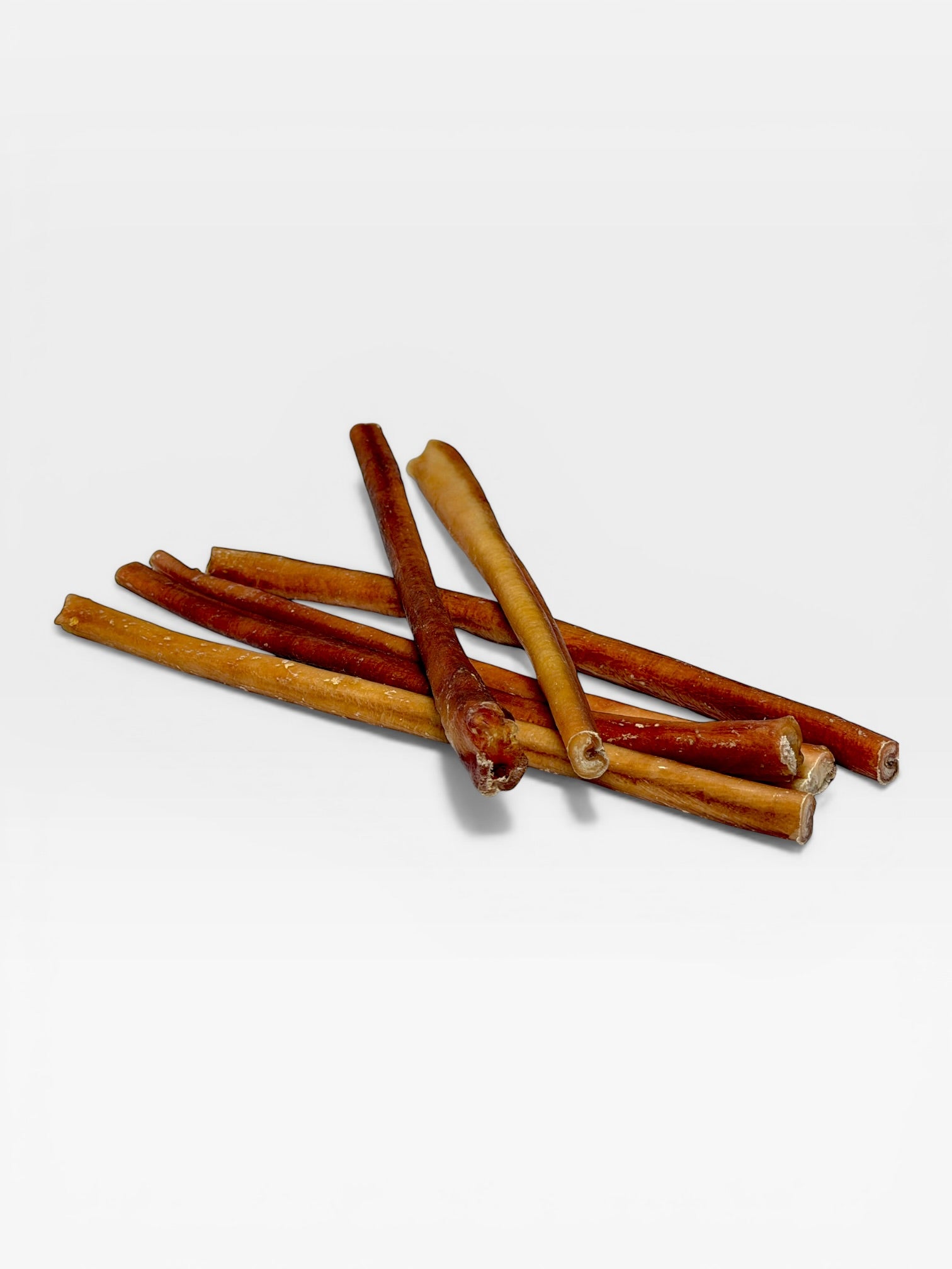12" Bully Stick