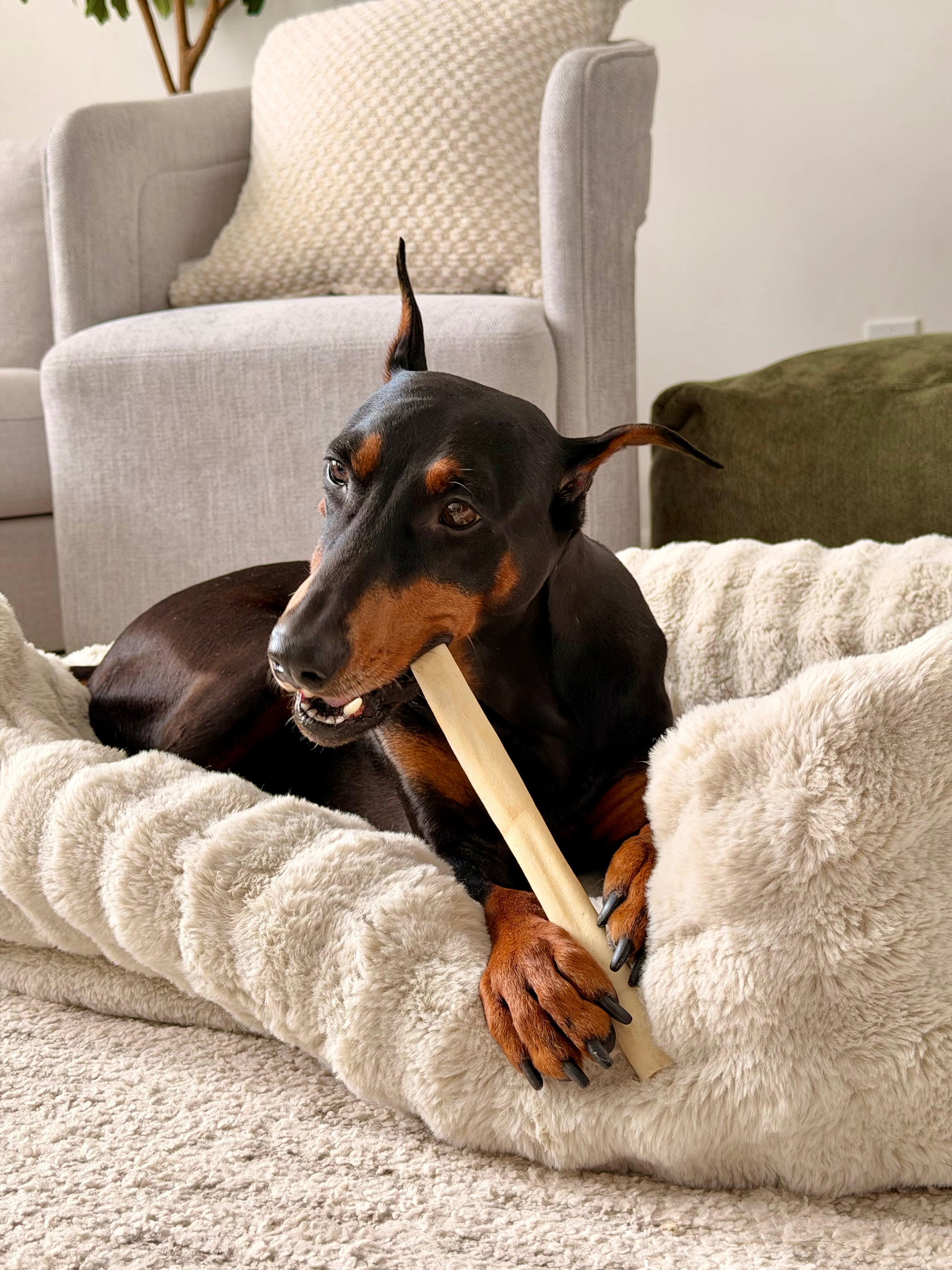 12" Collagen Chew